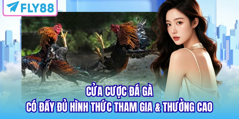 Cửa cược đá gà có đầy đủ hình thức tham gia & thưởng cao